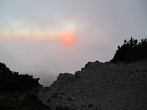 IMG_0261