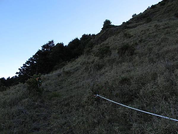 IMG_1501
