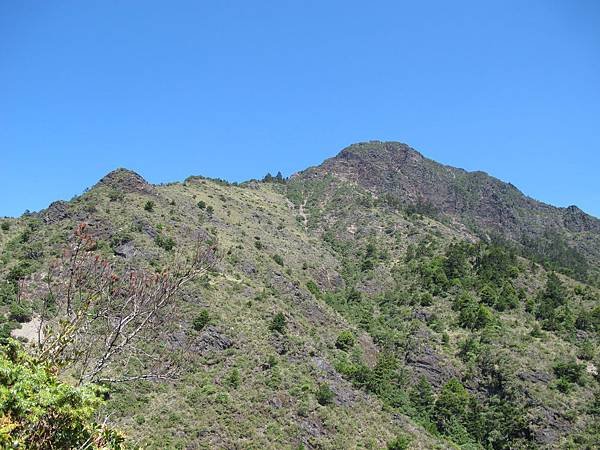 IMG_1525