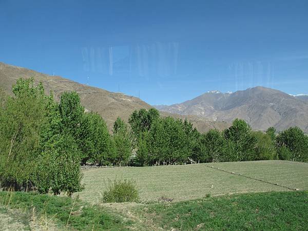IMG_0436