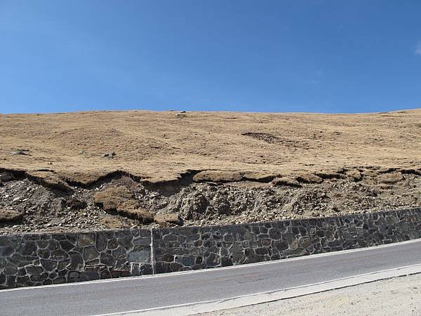 IMG_0446