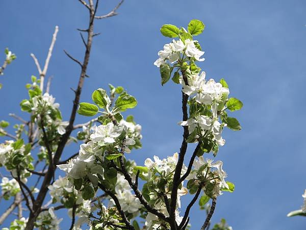 IMG_0513