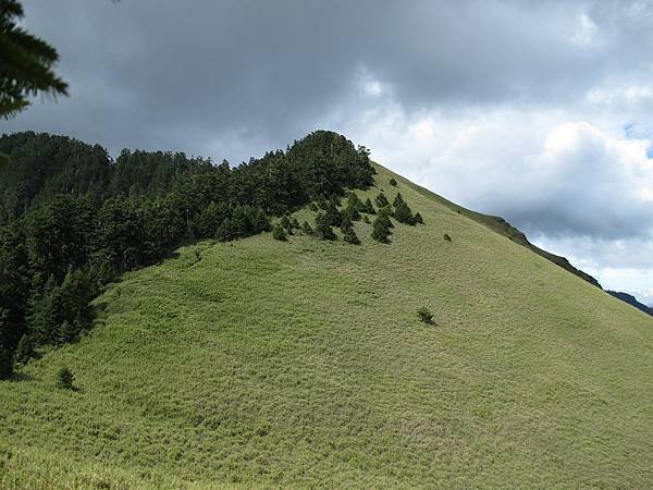 IMG_0265.JPG