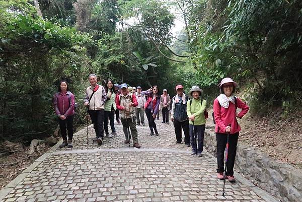 春遊石硦林場登桶頭山O型走 回程沿途賞花趣逍遙遊