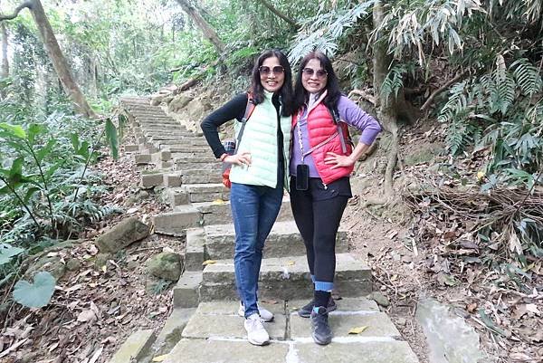 春遊石硦林場登桶頭山O型走 回程沿途賞花趣逍遙遊