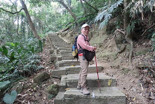 春遊石硦林場登桶頭山O型走 回程沿途賞花趣逍遙遊
