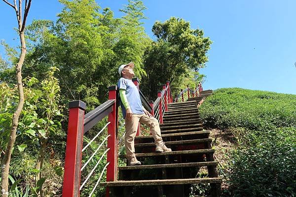 健走二尖大尖步道登二尖山&amp;大尖山 享茶園竹林風光盛宴