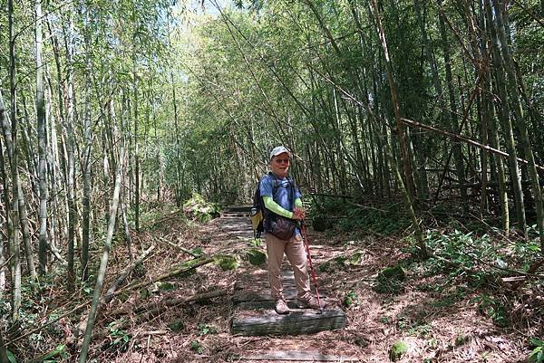 健走二尖大尖步道登二尖山&amp;大尖山 享茶園竹林風光盛宴