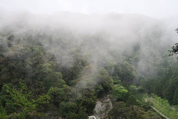 森呼吸漫遊杉林溪樂園森林浴&amp;樹德半山夢工廠感性之旅(二)