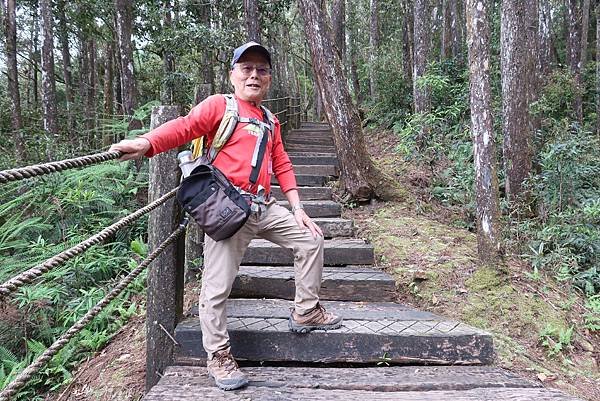 森呼吸漫遊杉林溪樂園森林浴&amp;樹德半山夢工廠感性之旅(二)