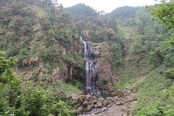 森呼吸漫遊杉林溪樂園森林浴&amp;樹德半山夢工廠感性之旅(二)