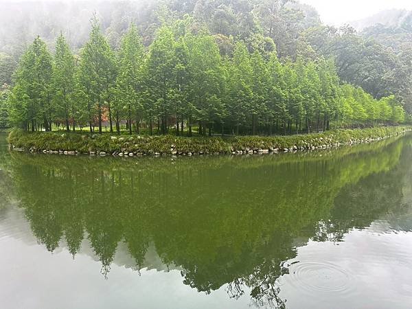 LINE_ALBUM_20250425~26杉林溪二日遊_250427_26.jpg
