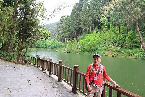 森呼吸漫遊杉林溪樂園森林浴&amp;樹德半山夢工廠感性之旅(二)