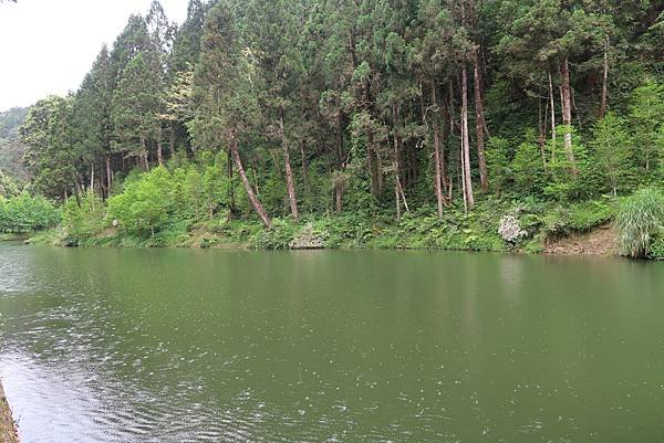 森呼吸漫遊杉林溪樂園森林浴&amp;樹德半山夢工廠感性之旅(二)