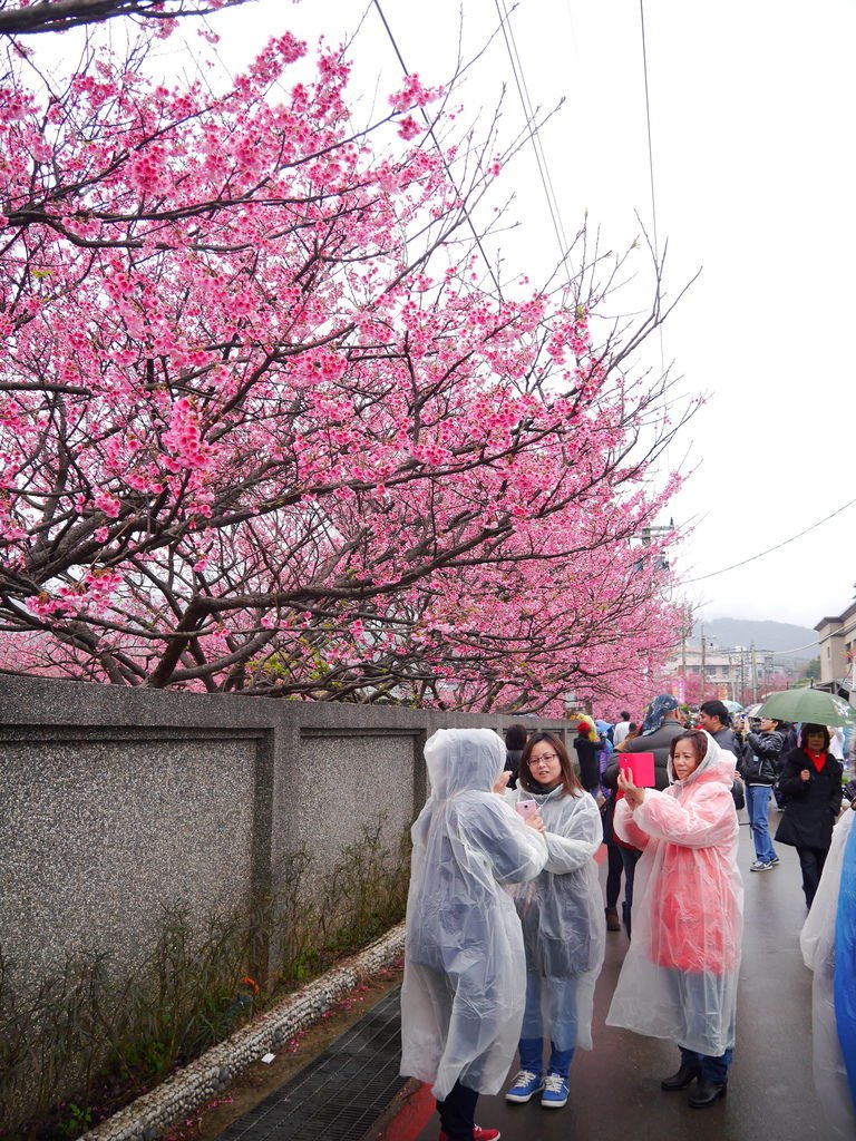 P1070423.JPG