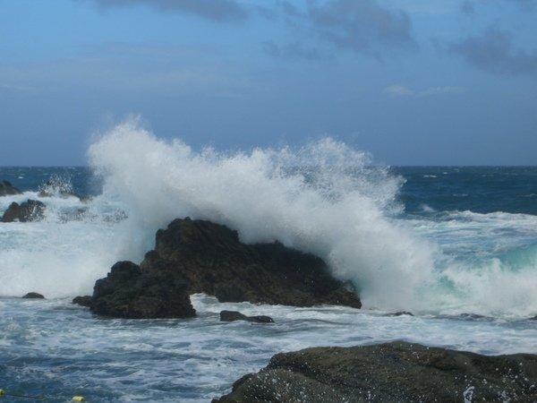 20090718北海岸～龍洞灣05