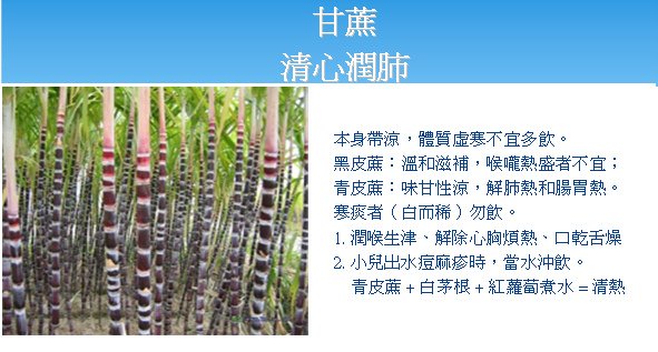 18.bmp