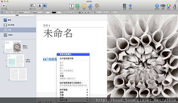 ibooks Author_05.png