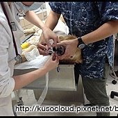 IMG_5170.JPG