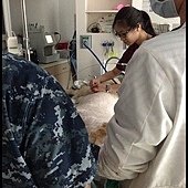 IMG_5178.JPG