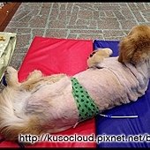IMG_5185.JPG