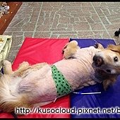 IMG_5186.JPG