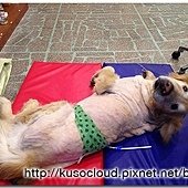 IMG_5187.JPG