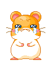 30450d.gif