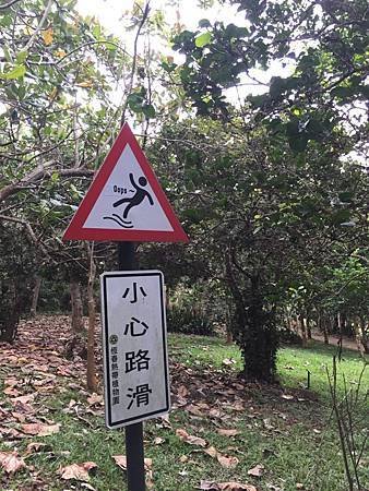 thumb_IMG_9401_1024.jpg