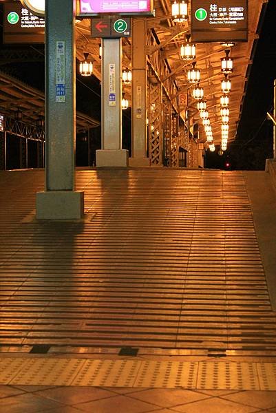 IMG_3876.JPG