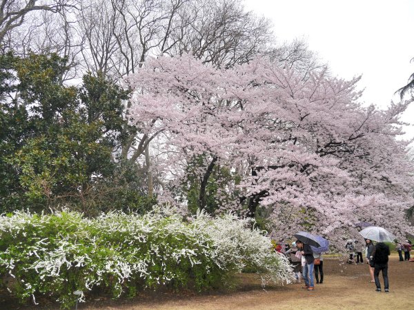 P1190527.JPG