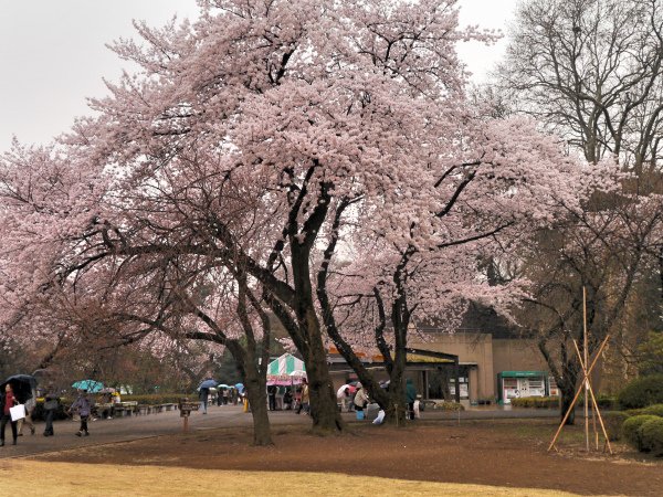 P1190542.JPG