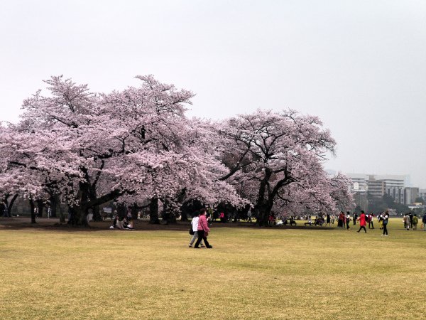 P1190630.JPG