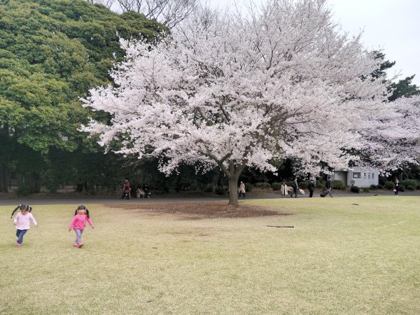 P1190665.JPG