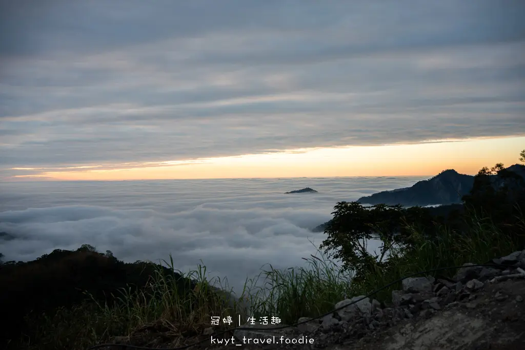 嘉義阿里山秘境美食_伍家田高山茶專賣，現做大份量80元茶葉鬆