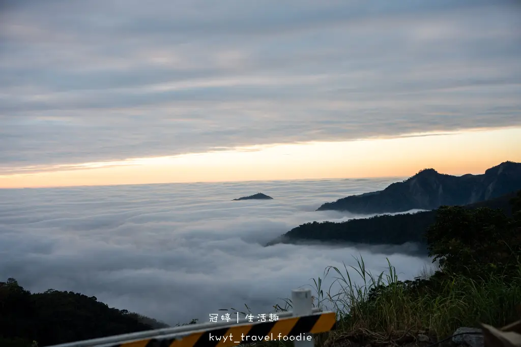 嘉義阿里山秘境美食_伍家田高山茶專賣，現做大份量80元茶葉鬆