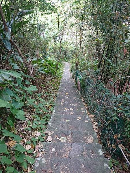 2023-03-18石角嶺古道、雙溪溼地公園、舊雙溪河步道