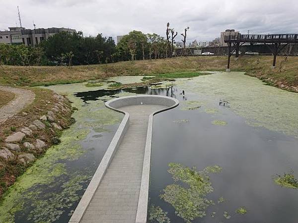 2023-03-18石角嶺古道、雙溪溼地公園、舊雙溪河步道