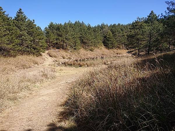 2023-03-06天池、閂岡山、更猛山步道(1316)