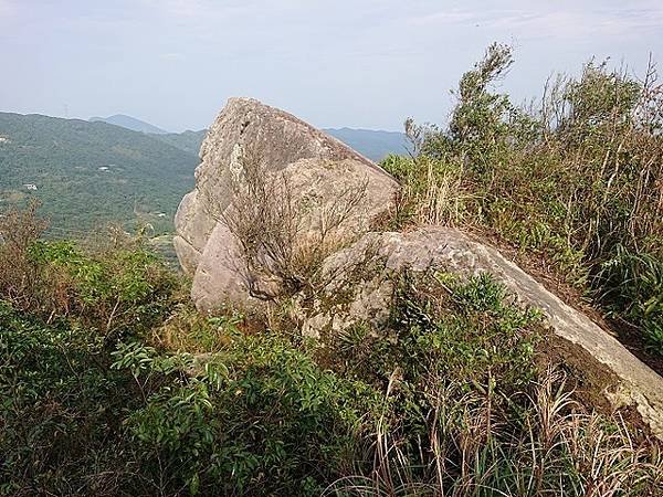 2022-11-22尋找新山夢湖黑猩猩