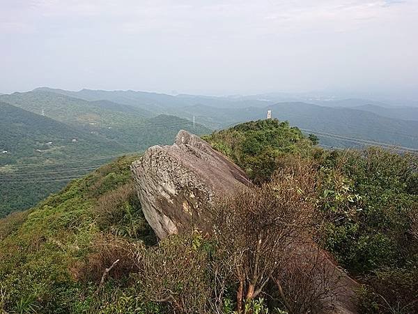 2022-11-22尋找新山夢湖黑猩猩