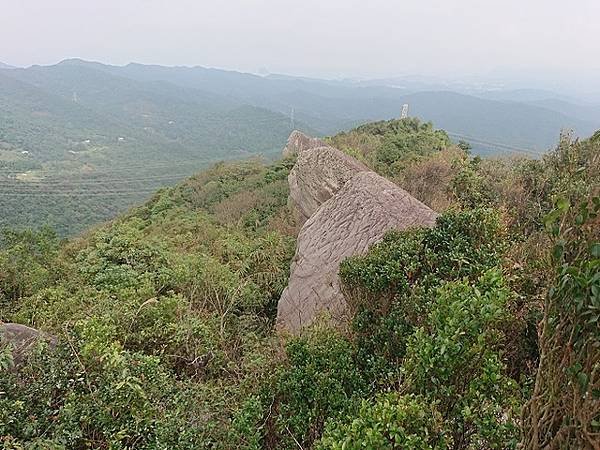 2022-11-22尋找新山夢湖黑猩猩