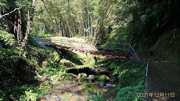 2021-12-11再訪松柏崎山、雞冠山、紙寮坑古道O走