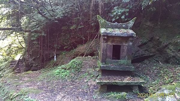 2021-12-11再訪松柏崎山、雞冠山、紙寮坑古道O走