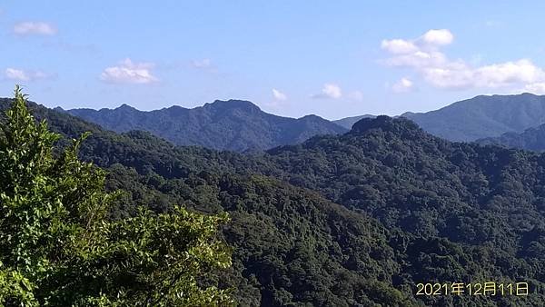 2021-12-11再訪松柏崎山、雞冠山、紙寮坑古道O走