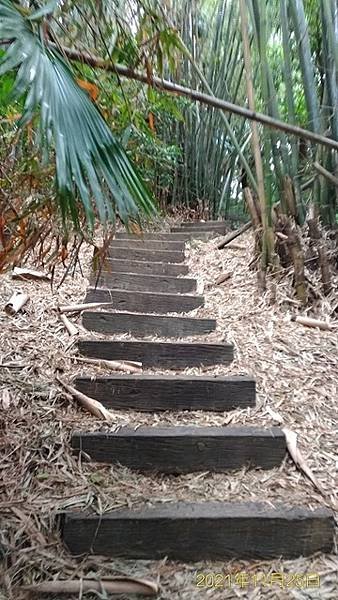 2021-11-25格物台、內湖獅頭山、雞湯大叔、大湖公園