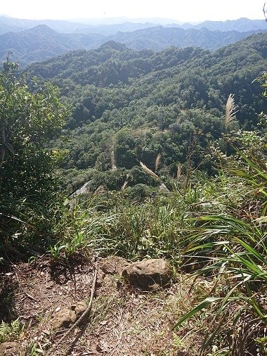 2021-11-21盤石嶺登姜子寮山