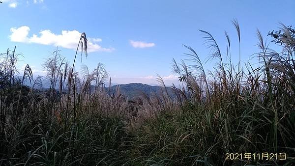 2021-11-21盤石嶺登姜子寮山