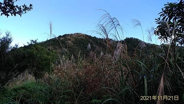 2021-11-21盤石嶺登姜子寮山