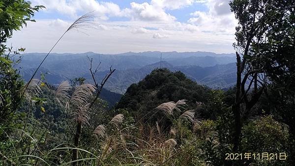 2021-11-21盤石嶺登姜子寮山